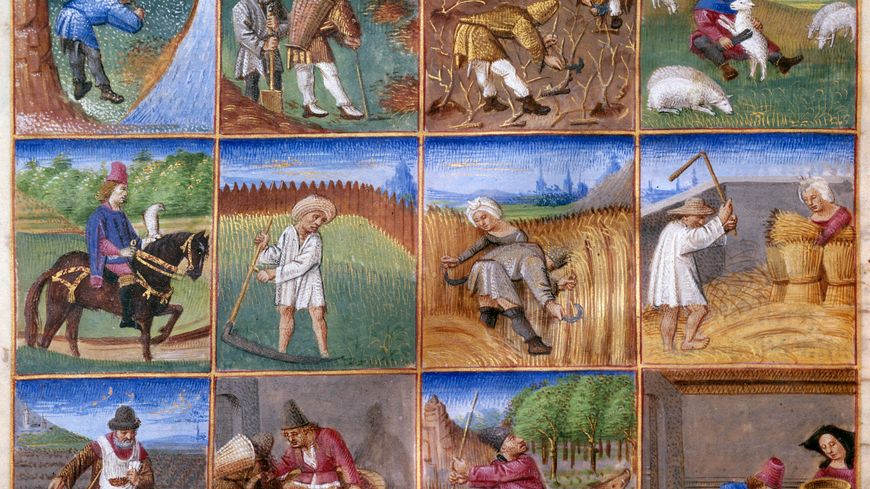 Calendrier médiéval des travaux agricoles correspondant aux douze mois de l'année.