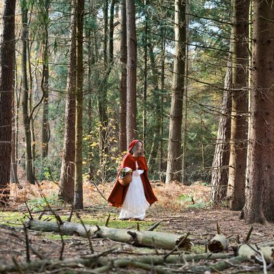 Comment le Petit Chaperon rouge, en dépit de toutes ses variations, est-il resté un conte reconnaissable à travers les siècles et les sociétés ?