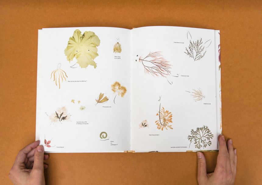 Double page extraite de "Alguier imaginaire"