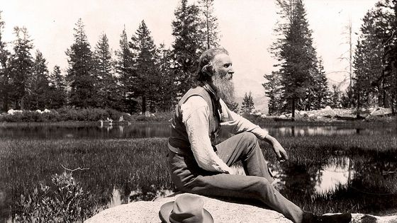 John Muir, fut l'un des premiers naturalistes modernes, militant de la protection de la nature ©Getty - UniversalImagesGroup