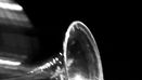 Joe Lovano_603x74-3