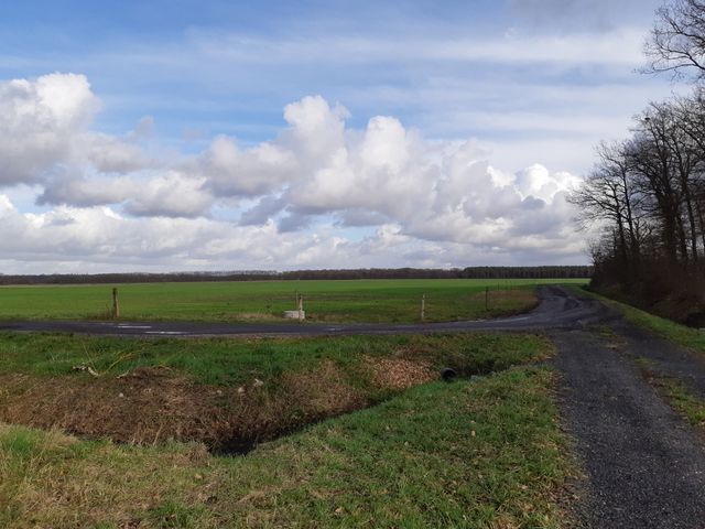 C'est sur ce terrain, aujourd'hui agricole, que doit être aménagé le complexe touristique du "Chambord Country Club", à La Ferté-Saint-Cyr