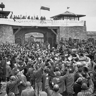 L'arrivée des soldats américains à Mauthausen