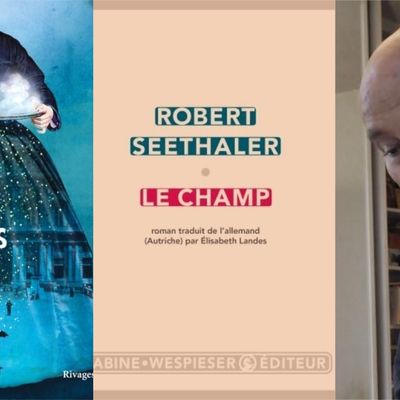 "Le Bal des ombres", "Le Champ", Le Journal de La Dispute : L'affaire Matzneff