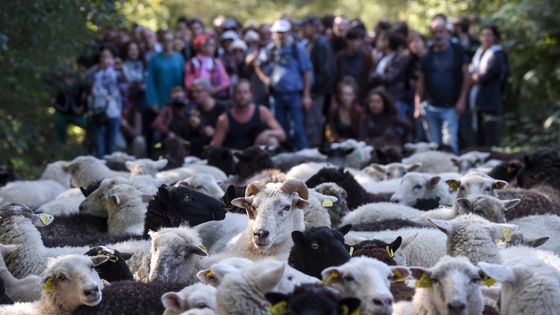 Notre-Dame-Des-Landes en septembre 2018. ©AFP - SEBASTIEN SALOM GOMIS