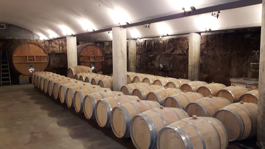 le chai du domaine avec les tonneaux et au fond les nouvelles foudres