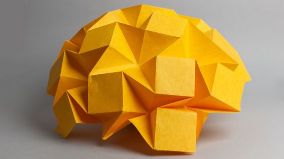 Comment prendre soin de son cerveau ? ©Getty - Jekaterina Nikitina