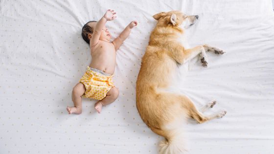 Devra-t-on bientôt choisir entre avoir un chiot ou avoir un enfant ... ? ©Getty - Jin Chu Ferrer
