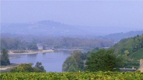 Pouilly Fumé: le vignoble et la Loire aux Loges - Philippe ROY/Gamma-Rapho via Getty Images