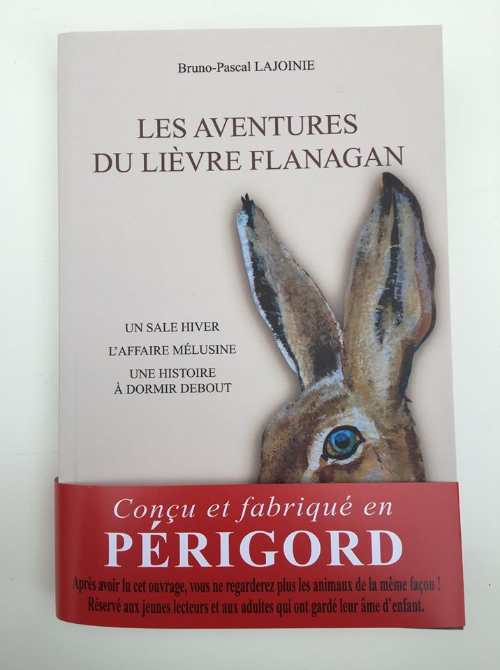 Les aventures du lièvre Flanagan
