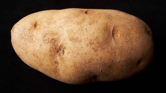 Le bonheur est dans la patate... - Perch Images / Photolibrary / Getty Images Plus