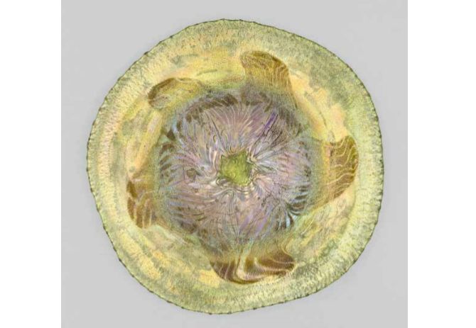Louis Comfort Tiffany Plat rosace ton or, vers 1897 Verre, haut. 2 cm , diam. 37 cm Paris, Petit Palais, musée des Beaux-Arts de la Ville de Paris