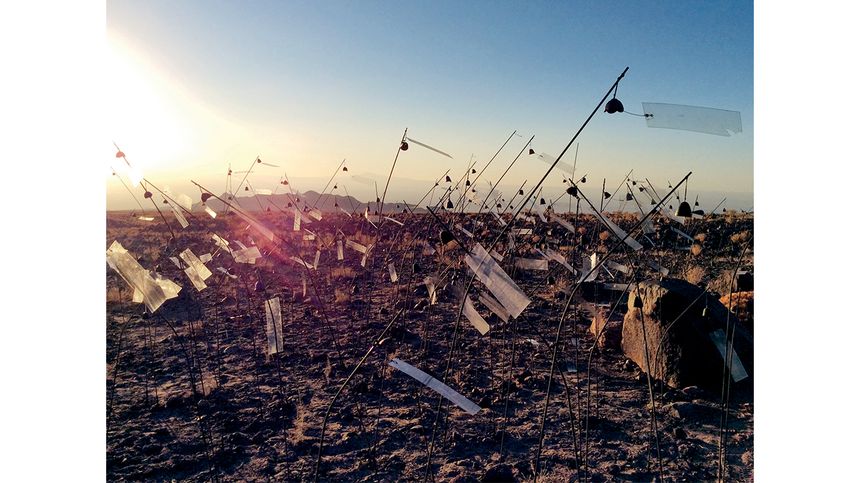Animitas Chili, 2014. Archives Christian Boltanski