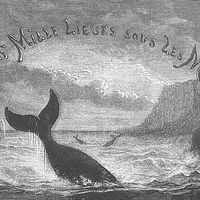 illustration de "Vingt mille lieues sous les mers" (Jules Verne), détail, frontispice par Alphonse de Neuville, (1836-1885). Edition 1871, Hetzel.