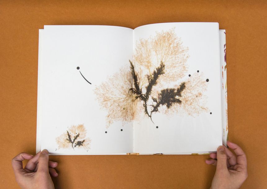 Double page extraite de "Alguier imaginaire"