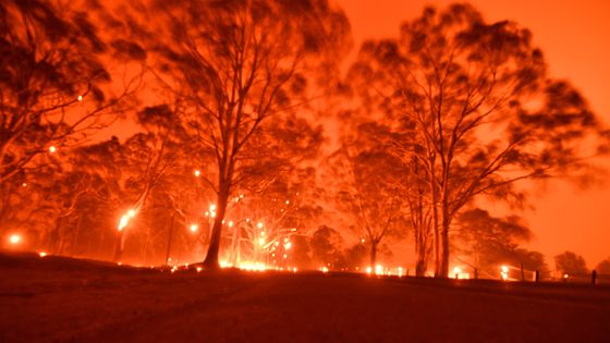 Le 31 décembre 2019, le ciel de l'après-midi devient orange à cause des feux de brousse dans la région de la ville de Nowra dans l'État australien de la Nouvelle-Galles du Sud. ©AFP - Saeed KHAN