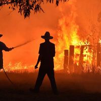 Des habitants de la petite ville australienne de Hillville, près de Taree, à 350 km au nord de Sydney, tentent de défendre leurs maisons contre l'arrivée d'un feu de brousse, le 12 novembre 2019. afp.com