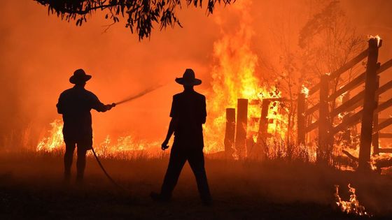 Des habitants de la petite ville australienne de Hillville, près de Taree, à 350 km au nord de Sydney, tentent de défendre leurs maisons contre l'arrivée d'un feu de brousse, le 12 novembre 2019. afp.com ©AFP - Peter Parks
