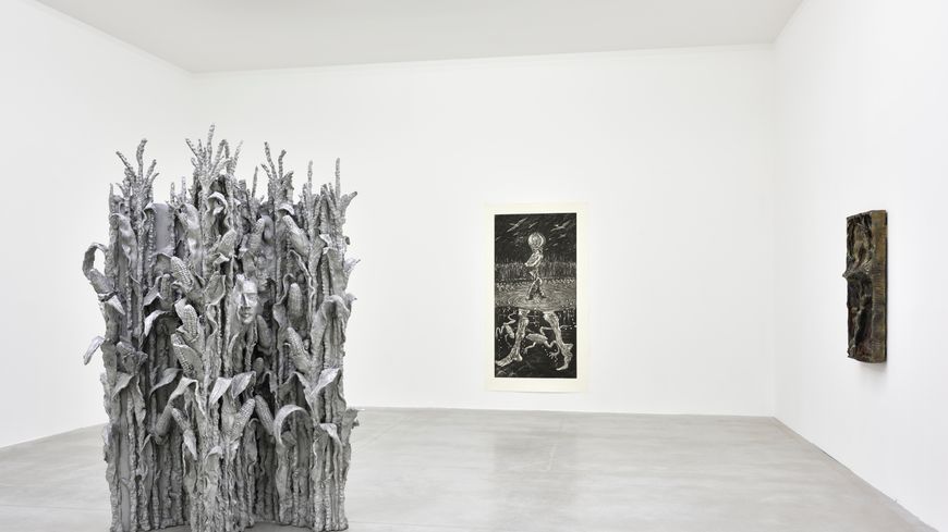 Vue de l’exposition de Jean-Marie Appriou, Consortium Museum, 2019-2020