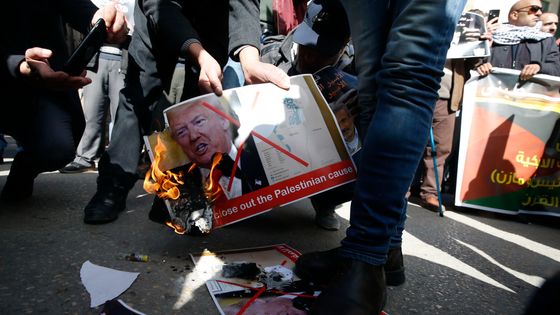 Des manifestants palestiniens brûlent des portraits de Donald Trump pour contester une proposition de plan de paix le 30 janvier à Hébron, ville palestinienne 2020. ©AFP - HAZEM BADER / AFP