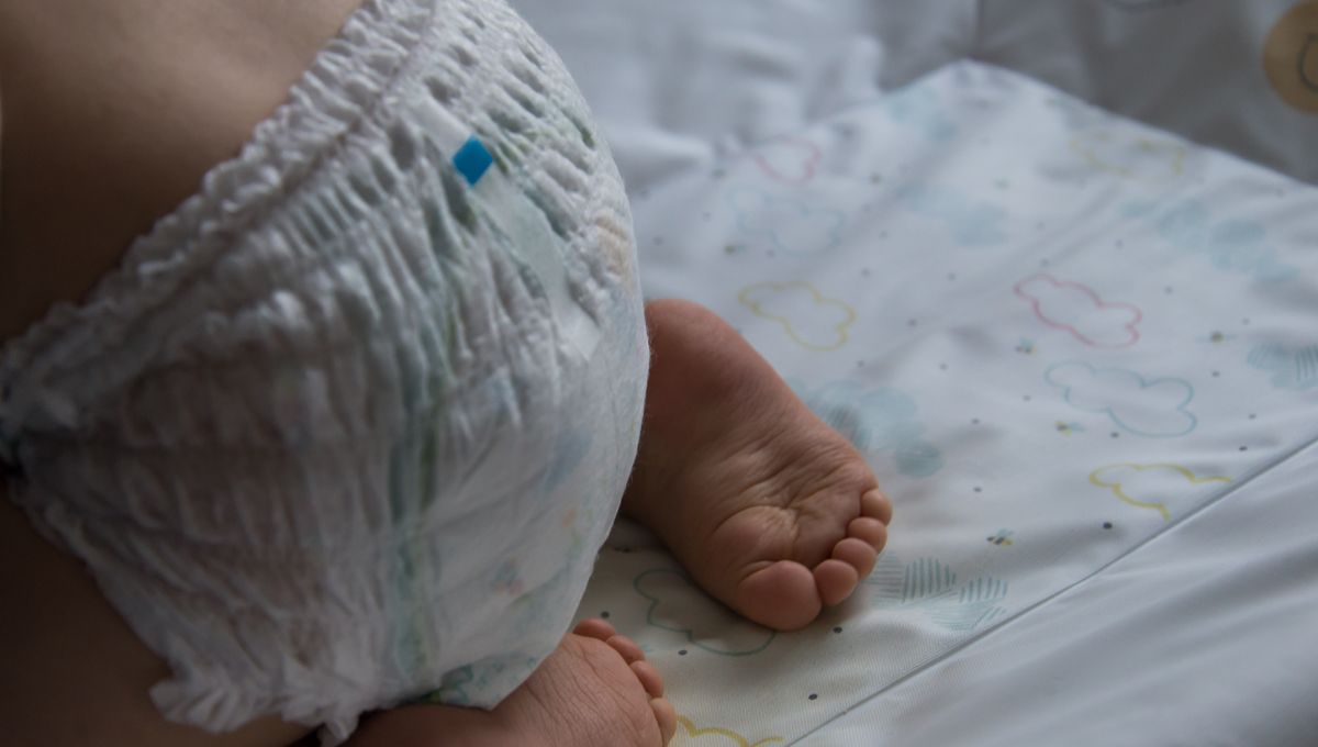 Le Compostage Des Couches Bebe Desormais Experimente En France Le Compostage Des Couches Bebe Desormais Experimente En France