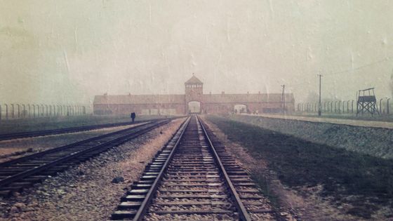 L'arrivée à Birkenau ©Radio France - François Teste