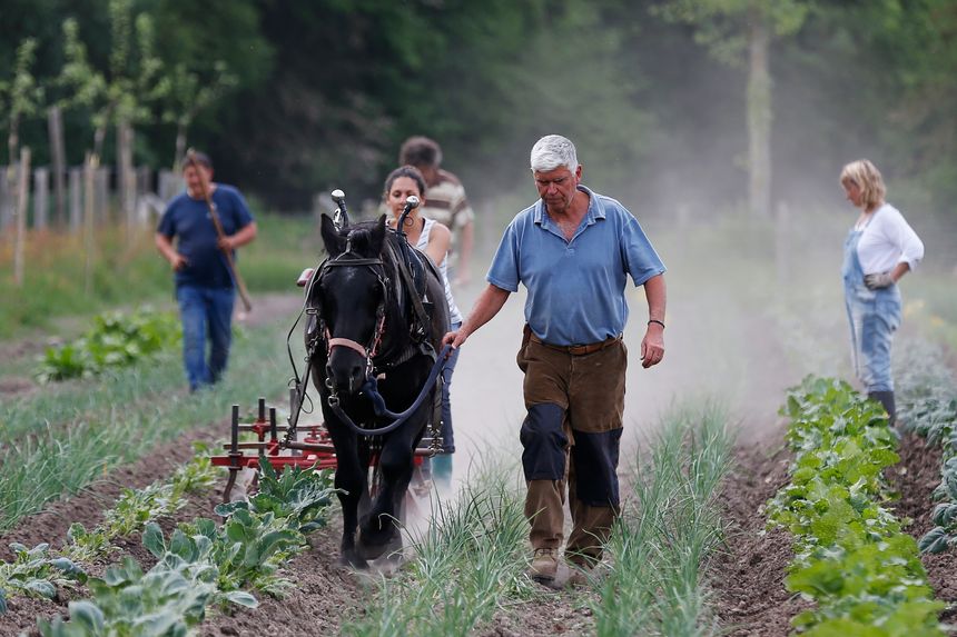 Charles et Perrine Hervé-Gruyer, les fondateurs, ont mis en place des solutions inspirées du fonctionnement des écosystèmes naturels, qui permettent de produire en abondance des fruits et légumes sains