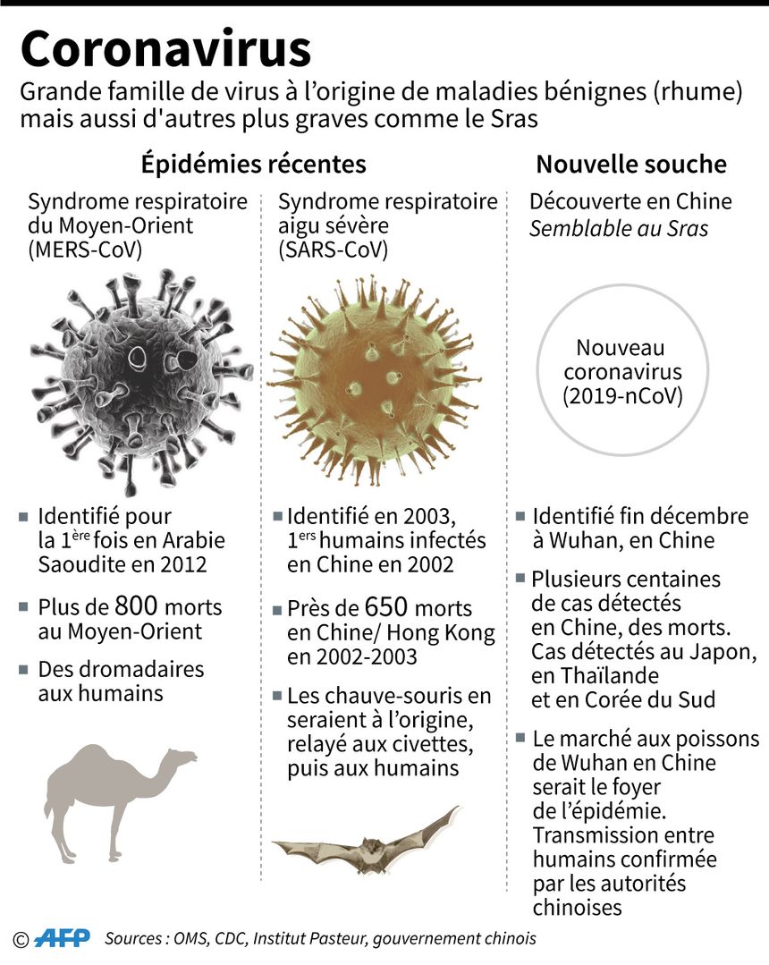 Le Sras fait partie de ce qu'on appelle les "coronavirus".