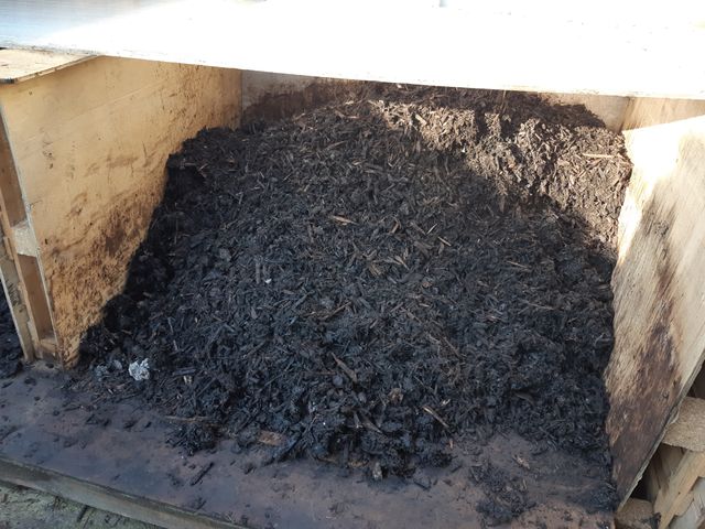 Le compost final. Il va "maturer" pendant 5 à 6 semaines
