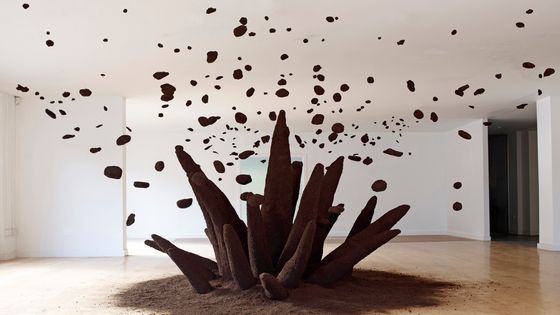 Négociation 68 - Unroot (2013) : Tourbe d'Irlande, technique mixte 260 x 830 x 1500 cm - Caroline Le Méhauté
