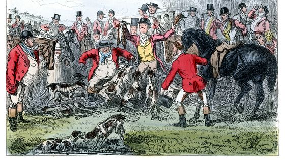 Gravure illustrant la fin d'une chasse à courre en 1875. ©Getty - duncan1890