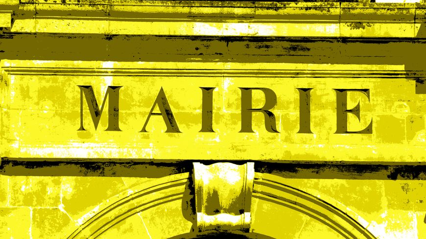 Des ronds-points aux urnes : quels sont les "gilets jaunes" qui tentent l'aventure des municipales ?