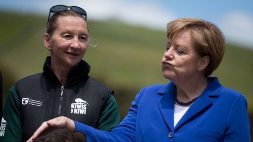 Angela Merkel, une "Dame Teflon" ?