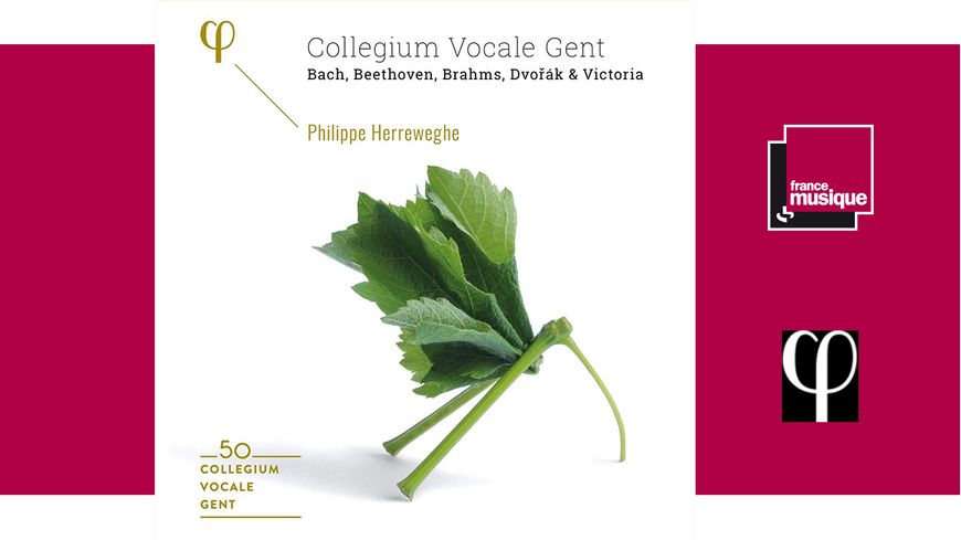 50ème anniversaire du Collegium Vocale de Gand - Philippe Herreweghe | Coffret 6 CD