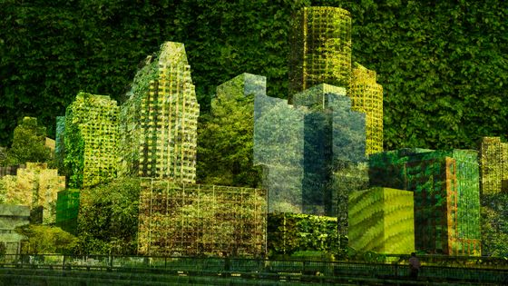 Que peuvent les maires pour la transition écologique ? ©Getty - Sharon White