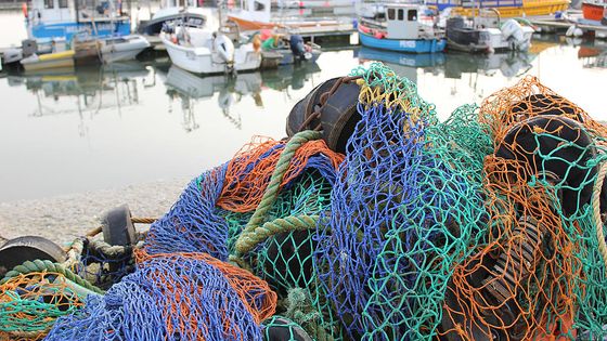 Un pêcheur consomme en moyenne 800 kg de filet par an ©Getty - PhotoPlus Magazine