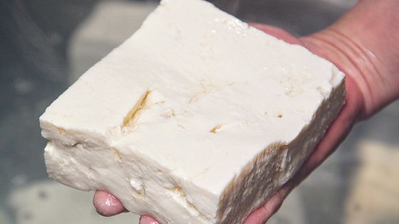 Tofu ferme - Camille Oger