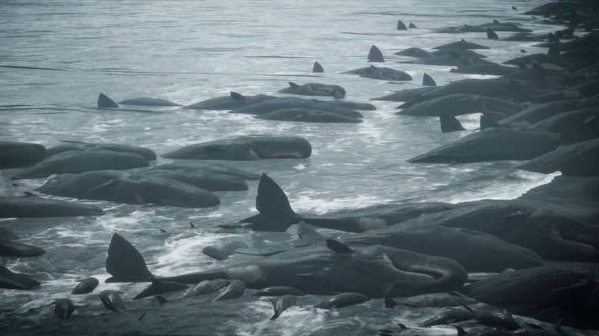 Des cadavres de baleines échoués sur la grève, dans le jeu vidéo "Death Stranding".