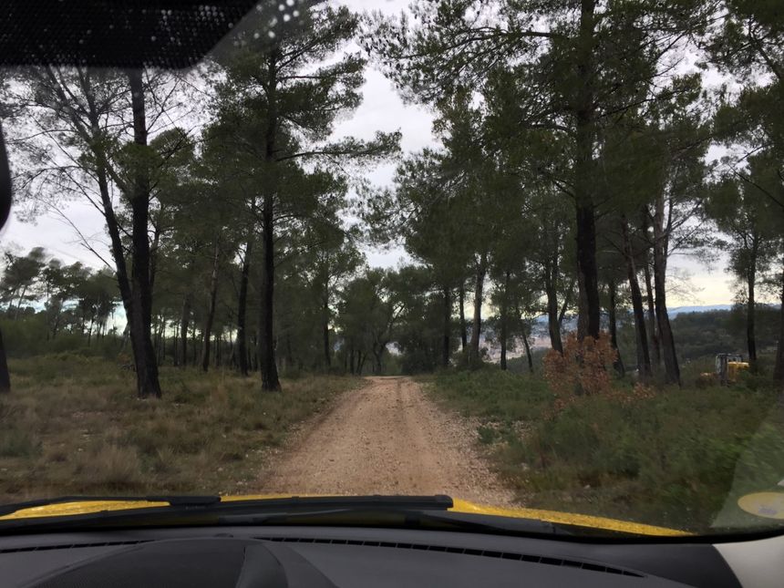 Forestier-sapeur, dans la forêt de Montaiguet près d'Aix-en-Provence