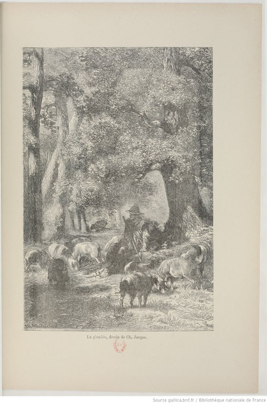 "Histoire naturelle des animaux" de Georges-Louis Leclerc Buffon (1707-1788), Éditeur : H. Lecène et H. Oudin (Paris, 1888)