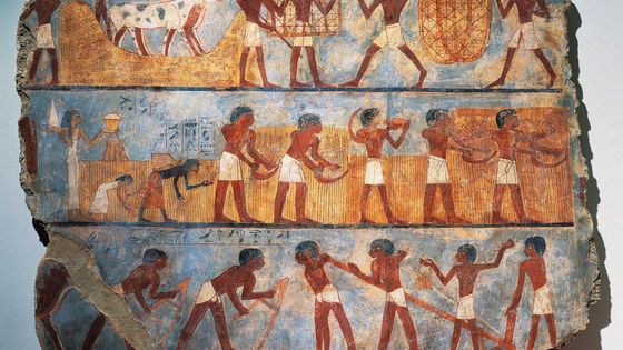 Peinture murale représentant une scène de semis et de récolte, depuis la tombe d'Onsu à Thèbes, Paris, Musee Du Louvre ©Getty - DEA / G. DAGLI ORTI