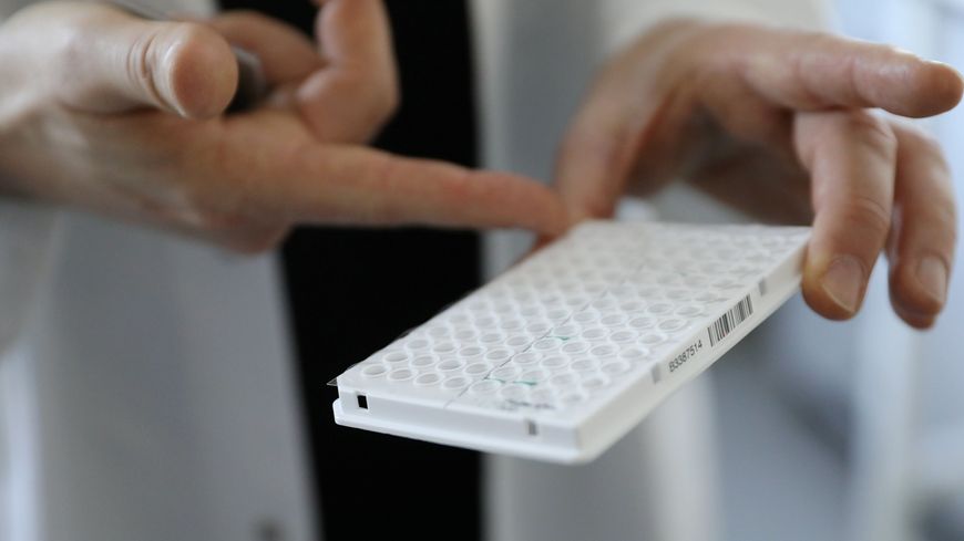 A l'Institut Pasteur, des prélèvements sont effectués afin de détecter la présence du coronavirus dans des échantillons.