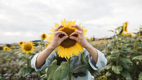 Le bonheur et ce qui donne du sens à la vie