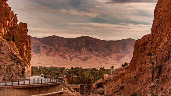 Montagnes à Biskra, en Algérie ©Getty - Tatar Adlene / EyeEm