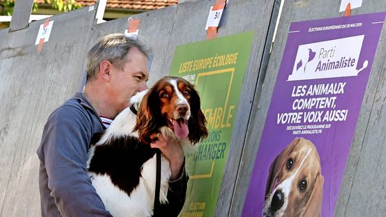 Une affiche de campagne du Parti animaliste. En 2019, la formation a rassemblé 490 000 voix, soit 2,16% des votes. ©Maxppp - Richard Mouillaud