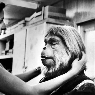 L'acteur Maurice Evans essayant son masque sur le tournage de La Planète des singes (1967)