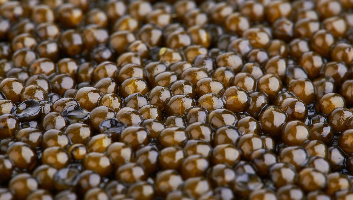 Les œufs de poisson, il n'y a pas que l'esturgeon qui en donne