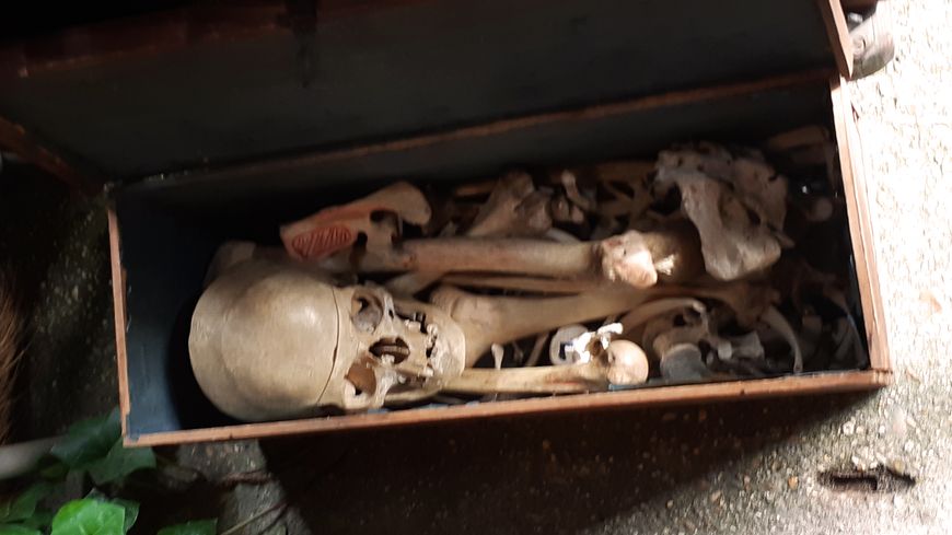 Ossements humains aux puces de Saint-Ouen (Seine-Saint-Denis), le 7 mars 2020.