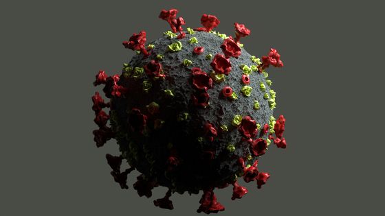 L'écologie des virus ©Getty - Andriy Onufriyenko