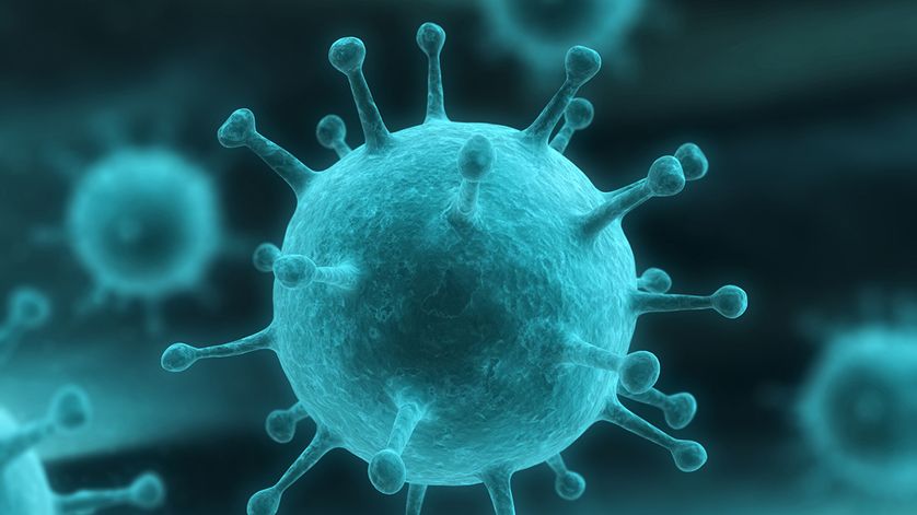le virus une entite biologique dune simplicite radicale